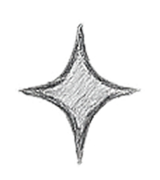 starS-1
